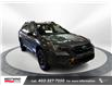 2024 Subaru Outback Wilderness (Stk: C1528) in Lethbridge - Image 1 of 24