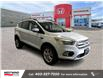 2018 Ford Escape SEL (Stk: C1561) in Lethbridge - Image 1 of 25