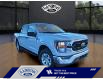 2023 Ford F-150 XLT (Stk: 23T118) in ROCKY MOUNTAIN HOUSE - Image 7 of 26