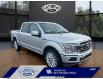 2019 Ford F-150 Limited (Stk: 21P033) in ROCKY MOUNTAIN HOUSE - Image 7 of 30