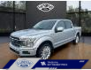 2019 Ford F-150 Limited (Stk: 21P033) in ROCKY MOUNTAIN HOUSE - Image 1 of 30