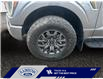 2023 Ford F-150 Tremor (Stk: 24T078A) in ROCKY MOUNTAIN HOUSE - Image 14 of 15