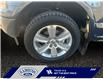 2020 Ford F-150 Platinum (Stk: 24T127A) in ROCKY MOUNTAIN HOUSE - Image 14 of 15