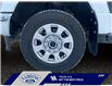 2023 Ford F-350 XLT (Stk: 25P008) in ROCKY MOUNTAIN HOUSE - Image 14 of 15