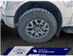 2023 Ford F-150 Tremor (Stk: 24T021A) in ROCKY MOUNTAIN HOUSE - Image 14 of 15