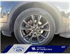2017 Ford Explorer XLT (Stk: 25P002) in ROCKY MOUNTAIN HOUSE - Image 14 of 15