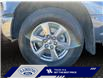 2020 Ford F-150 XLT (Stk: 24T010A) in ROCKY MOUNTAIN HOUSE - Image 14 of 15