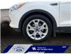 2015 Ford Escape Titanium (Stk: 25P028) in ROCKY MOUNTAIN HOUSE - Image 14 of 15