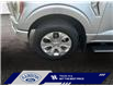 2023 Ford F-150 Platinum (Stk: 25P048) in ROCKY MOUNTAIN HOUSE - Image 14 of 15