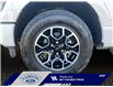 2023 Ford F-150 XLT (Stk: 25P041) in ROCKY MOUNTAIN HOUSE - Image 14 of 15