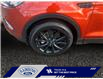 2019 Ford Escape Titanium (Stk: 25T136A) in ROCKY MOUNTAIN HOUSE - Image 14 of 15