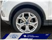 2019 Ford Escape Titanium (Stk: 25P069) in ROCKY MOUNTAIN HOUSE - Image 14 of 15