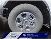 2024 Ford Bronco Big Bend (Stk: 26P029) in ROCKY MOUNTAIN HOUSE - Image 14 of 15
