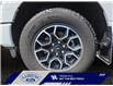 2023 Ford F-150 XLT (Stk: 26P030) in ROCKY MOUNTAIN HOUSE - Image 14 of 15