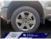 2020 Ford F-150 Lariat (Stk: 26T079A) in ROCKY MOUNTAIN HOUSE - Image 14 of 15