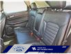 2015 Ford Edge SEL (Stk: 26P024A) in ROCKY MOUNTAIN HOUSE - Image 13 of 16