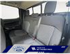 2024 Ford Ranger XLT (Stk: 26P022A) in ROCKY MOUNTAIN HOUSE - Image 13 of 15