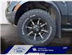 2024 Ford Ranger XLT (Stk: 26P022A) in ROCKY MOUNTAIN HOUSE - Image 14 of 15