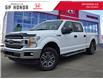 2020 Ford F-150 XLT (Stk: 45P25-051) in Grande Prairie - Image 1 of 23
