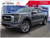 2023 Ford F-150 Platinum (Stk: 45P25-073) in Grande Prairie - Image 1 of 26