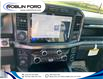 2024 Ford F-350 Lariat (Stk: 9024) in Roblin - Image 21 of 22