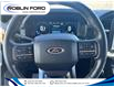 2022 Ford F-150  (Stk: F632ET) in Roblin - Image 19 of 25