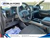 2024 Ford F-150 STX (Stk: F644DP) in Roblin - Image 13 of 20