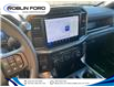 2024 Ford F-150 STX (Stk: F644DP) in Roblin - Image 14 of 20