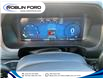 2024 Ford F-150 STX (Stk: F644DP) in Roblin - Image 19 of 20