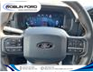 2025 Ford F-150 Tremor (Stk: 9105) in Roblin - Image 17 of 22