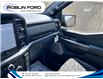 2025 Ford F-150 Tremor (Stk: 9105) in Roblin - Image 19 of 22