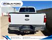 2013 Ford F-250  (Stk: F65TPA) in Roblin - Image 4 of 19