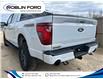 2025 Ford F-150 Tremor (Stk: 9113) in Roblin - Image 3 of 9