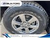 2019 Ford F-150  (Stk: F65XBY) in Roblin - Image 4 of 4