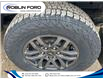 2021 Ford Ranger  (Stk: F66GTC) in Roblin - Image 4 of 7