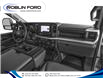 2025 Ford F-250  (Stk: F79HP9) in Roblin - Image 11 of 11