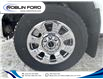 2025 Ford F-250  (Stk: F79HP9) in Roblin - Image 3 of 5