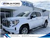 2024 GMC Sierra 1500 Denali (Stk: F7DH1H) in Roblin - Image 2 of 4