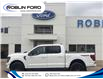 2024 Ford F-150 Tremor (Stk: F7P94W) in Roblin - Image 1 of 4
