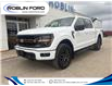 2024 Ford F-150 Tremor (Stk: F7P94W) in Roblin - Image 2 of 4