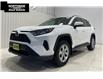 2020 Toyota RAV4 LE (Stk: P8546) in Sault Ste. Marie - Image 2 of 2