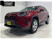 2019 Toyota RAV4 Hybrid LE (Stk: V25233A) in Sault Ste. Marie - Image 1 of 13