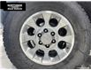 2013 Toyota FJ Cruiser Base (Stk: T25185B) in Sault Ste. Marie - Image 19 of 25