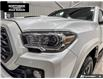 2023 Toyota Tacoma Base (Stk: P8873) in Sault Ste. Marie - Image 10 of 12