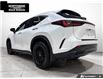 2023 Lexus NX 350h Base (Stk: R25074A) in Sault Ste. Marie - Image 5 of 12