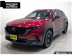 2024 Mazda CX-50 GT (Stk: P9050) in Sault Ste. Marie - Image 1 of 9