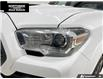 2020 Toyota Tacoma Base (Stk: T26149A) in Sault Ste. Marie - Image 9 of 10
