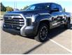 2023 Toyota Tundra Limited (Stk: TUP217) in Lloydminster - Image 1 of 25