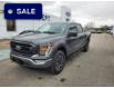2023 Ford F-150 XLT (Stk: F31006) in GEORGETOWN - Image 1 of 7