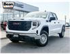 2025 GMC Sierra 1500 Pro (Stk: 171180) in Carleton Place - Image 1 of 21